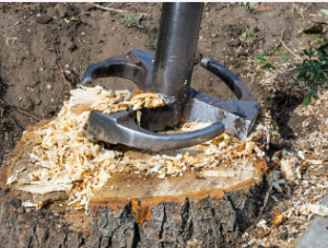 Adelaide tree stump removal 