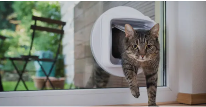 pet doors Adelaide