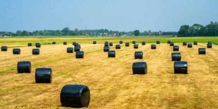 silage wrap